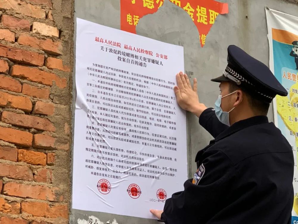 石家庄市最新招聘信息概览，求职者的必读指南