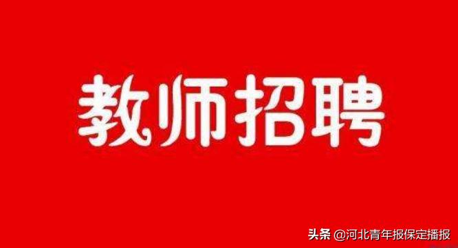 清苑最新招聘信息，友情与职业的温馨交汇点