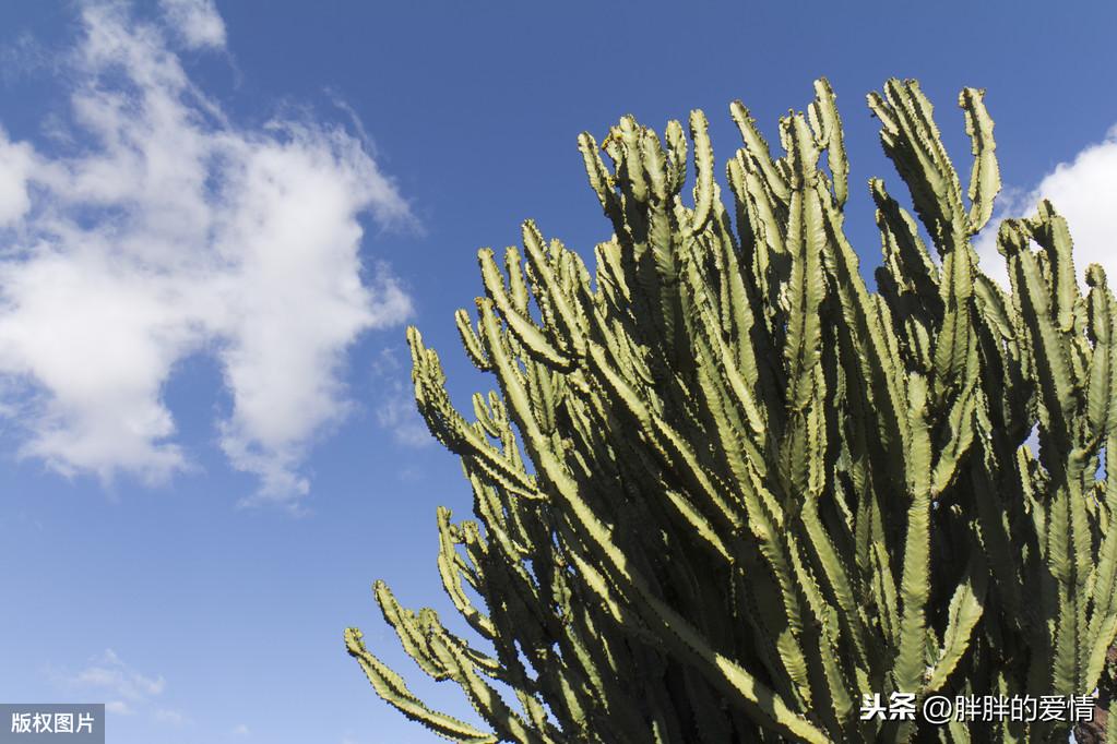 辽宁号航母最新动态，深蓝之旅的心灵启程